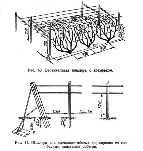 Чертеж шпалеры с размерами