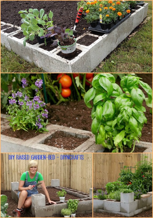 Raised Bed Garden - 17 Creative Ways to Use Concrete Blocks in Your Home