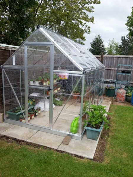 A clear greenhouse with some condensation along the panels.