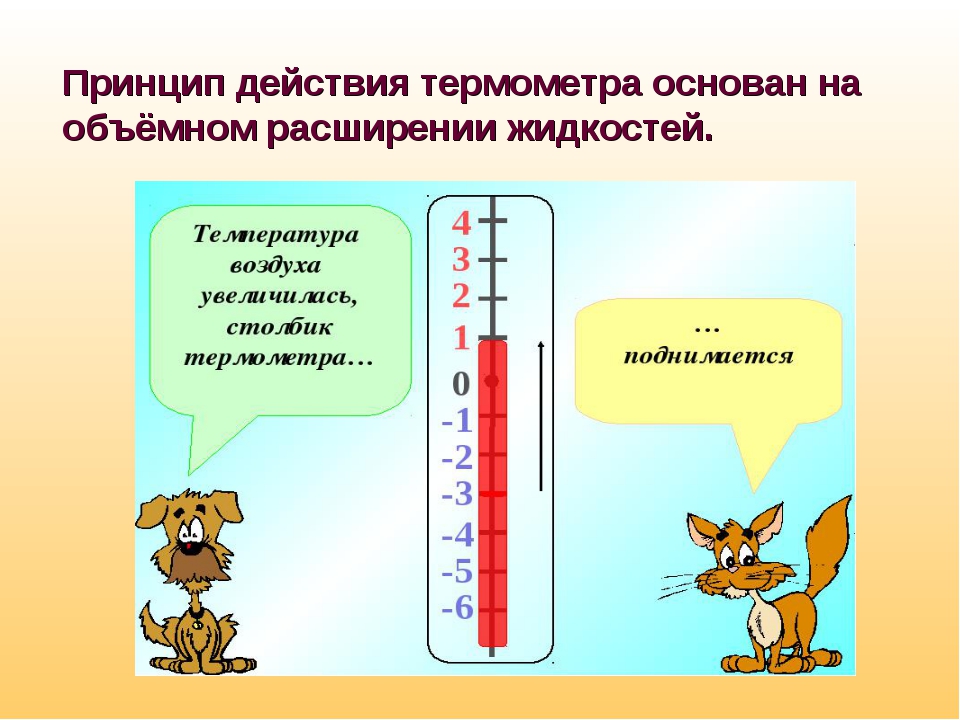 Как человек определяет температуру. Принцип работы термометра. Градусник для измерения температуры в помещении. Термометр и его устройство. Термометр для презентации.