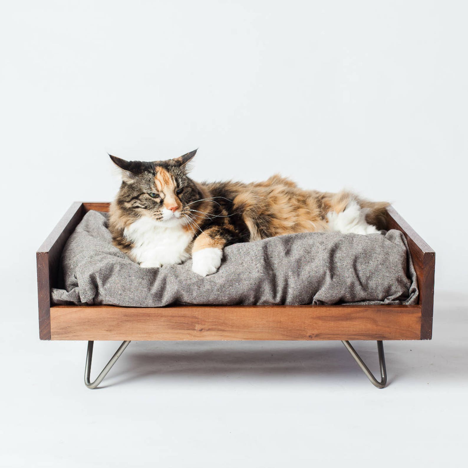 кровати для кошек и котов