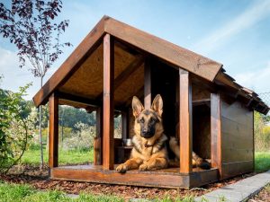 Как сделать будку для собаки своими руками: устройство жилища во дворе и в квартире. Чертежи, размеры и оригинальные идеи (55+ Фото & Видео) +Отзывы