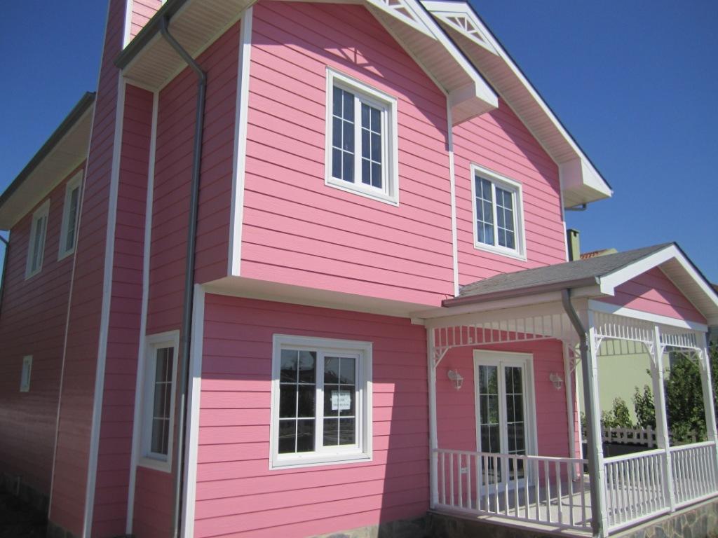 В какой цвет можно покрасить дом снаружи фото в деревне