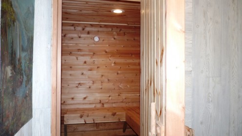 sauna designs