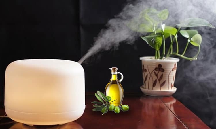 Still Want to Use Essential Oils in Humidifier? Consider These Things –