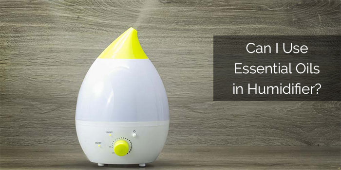 Can I Use Essential Oils in Humidifier? – Read This Before Using