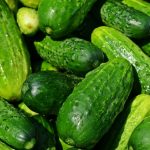 How to Grow Pickling Cucumbers in a Container