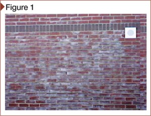Efflorescence caused by cold, damp weather. Very severe efflorescence can make masonry appear as if being observed through a frosted glass. This wall was clear by late spring.
