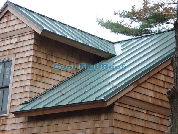 Standing seam metal roof eliminates ice dams.