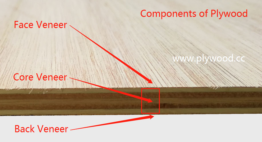 Componens of Plywood